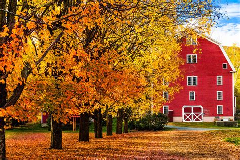 Woodstock Vermont Fall Foliage 2024 - Raina Carolann