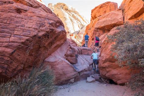 Two Fun, Short Hikes to do at Red Rock Canyon, Las Vegas – Earth Trekkers