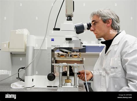 Using a Kerr microscope to visualize the magnetic domain structure of a ...