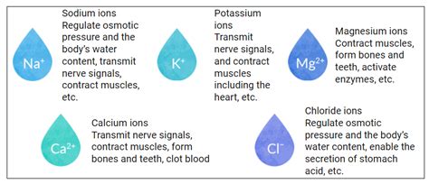 WHAT ARE IONS AND THE ROLE OF IONS IN OUR BODY?