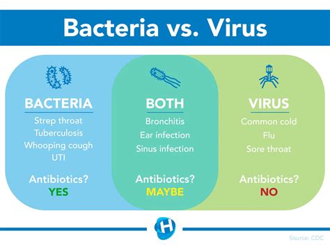 When do I need an antibiotic? Bacterial vs. Viral Infections