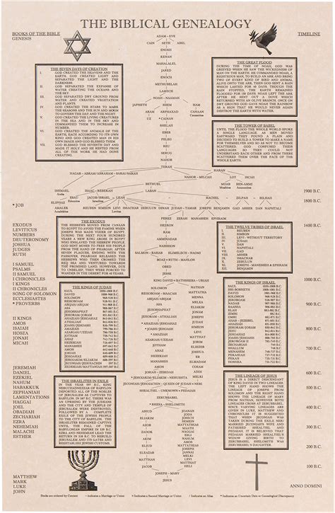 Buy The Biblical Genealogy Chart, Family Tree from Adam to Jesus, Books ...