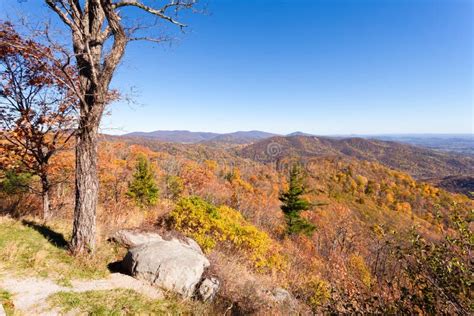 Shenandoah National Park In The Fall Stock Photo - Image of season ...