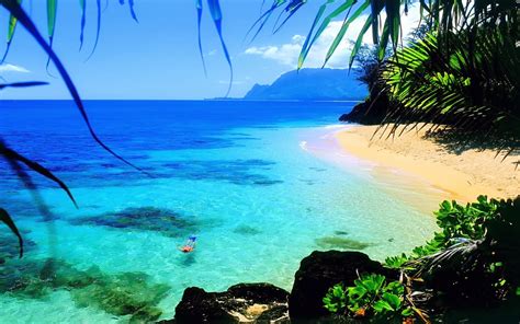 Hawaii Beach Wallpaper 1920x1200 56254 - Baltana