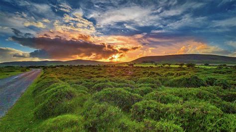 Preseli Hills Photograph by Mark Llewellyn - Pixels