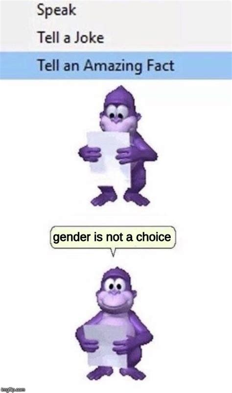 politics bonzi buddy Memes & GIFs - Imgflip