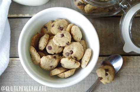 Gluten-Free Vegan Cookie Crunch Cereal