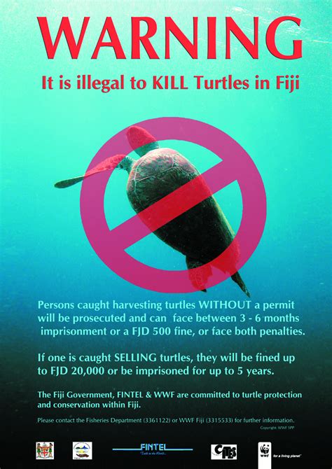 Poster: Turtle warning | WWF