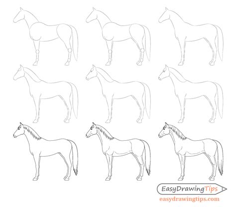 How To Draw A Horse Step By Step