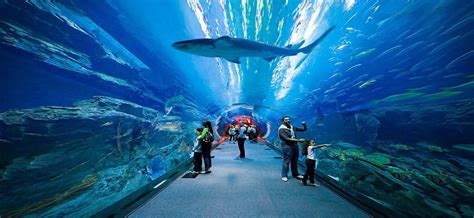 Atlantis Water park amazing fun slides & rides @ 250 AED