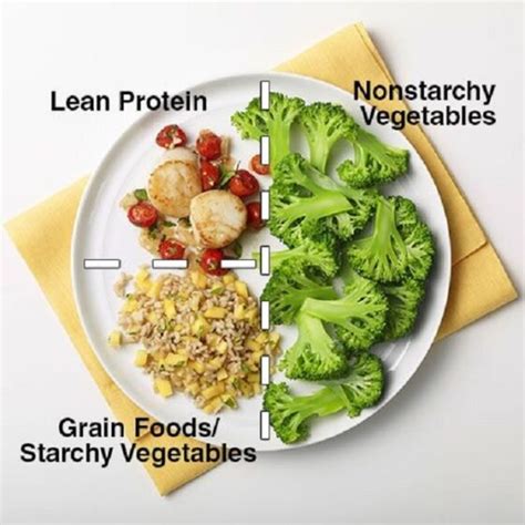 The ADA Diabetic Diet Recommendations - Dibesity