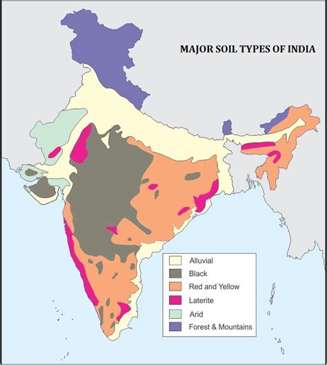 1mark the major soil types in india in a political mapa and write any ...