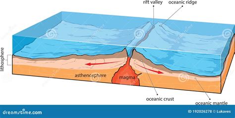 Oceanische Plateaudivergentie Vector Illustratie - Illustration of ...