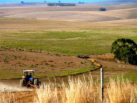 The future of farming in South Africa - Green Economy Journal