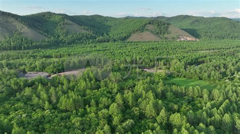 航拍大兴安岭林区山谷绿色林海_3840X2160_高清视频素材下载(编号:9276901)_实拍视频_光厂(VJ师网) www.vjshi.com