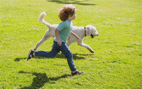 Keeping Kids and Dogs Safe-From Each Other - The Other End of the Leash