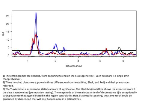 An Introduction to Cannabis Genetics, Part II - Cannabis Industry Journal