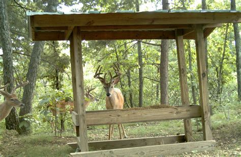 Summer Project Idea: DIY Deer Feeder Deer Corn Feeder, Pvc Deer Feeder ...