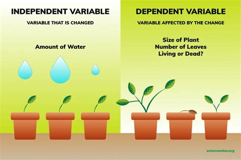 Independent and Dependent Variables Examples