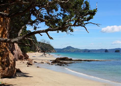 Visit Coromandel Peninsula, New Zealand | Audley Travel