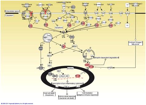 Molecules are represented as nodes and the biological relationship ...