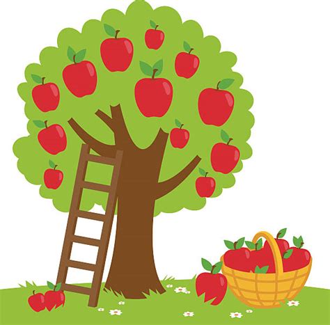 Royalty Free Apple Tree Clip Art, Vector Images & Illustrations - iStock