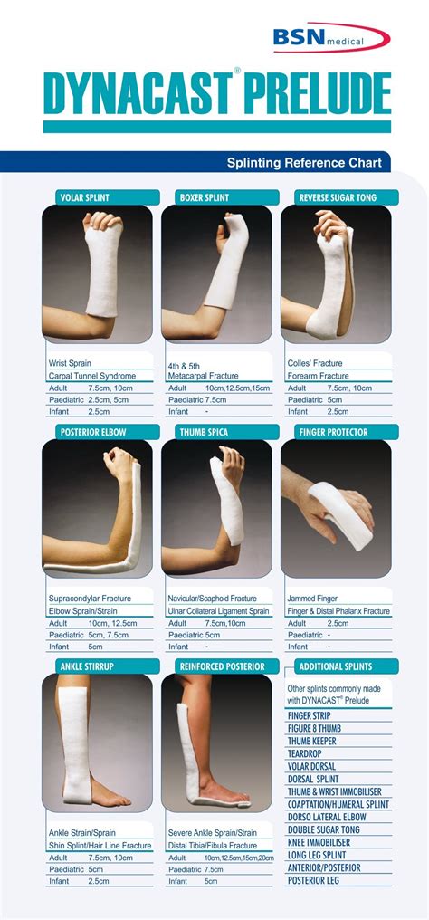 Splinting Ref Ruler - Bsn