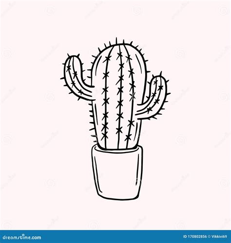 Cactus. Simple Vector Doodle Style Drawing. Linear Illustration ...