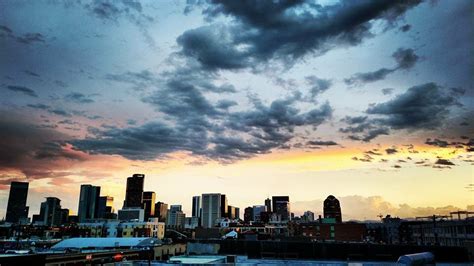 Denver Skyline – Trophic Cascade