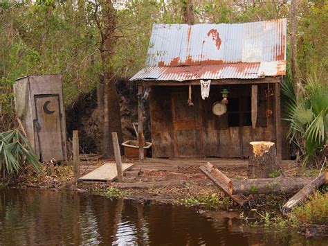 Haunted Swamp, Louisiana | Louisiana swamp, Louisiana bayou, Bayou house