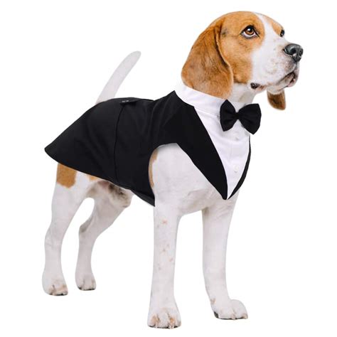 Dog Tuxedo