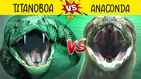 Anaconda vs Titanoboa এর লড়াইয়ে কে জিতবে 😱😱|| Anaconda vs Titanoboa ...