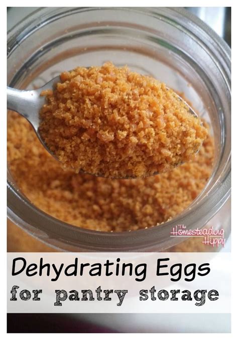 Dehydrating Eggs For Long Term Storage The Homesteading Hippy | Recipe ...