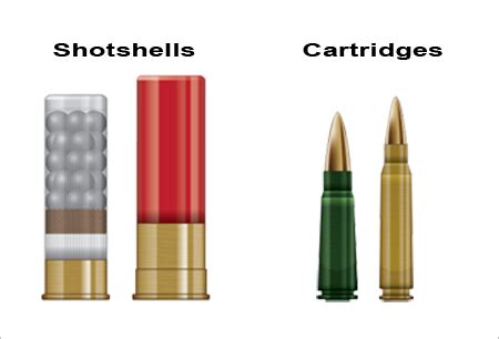 Rifle vs Shotgun? First Time Gun Buyer