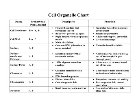 Cell Organelle Chart