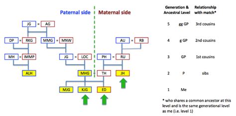 DNA and Family Tree Research: Step 3.1 Maternal or Paternal ancestor?