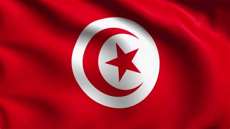 Tunisia Flag 🇹🇳 | International flags, Tunisia flag, Tunisia