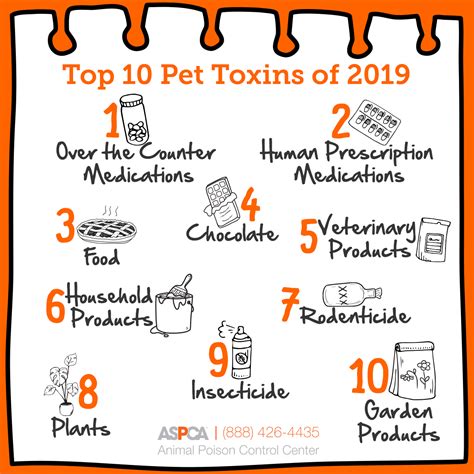 Announcing: The Top 10 Pet Toxins! | ASPCA