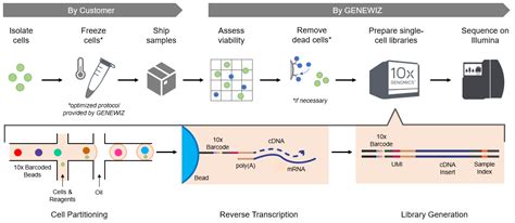 Single-Cell RNA Sequencing FAQs