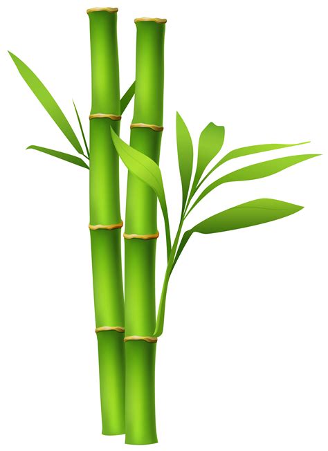 Free Bamboo Transparent, Download Free Bamboo Transparent png images ...