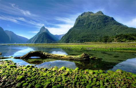 landscape, Photography, Nature, Mountains, Moss, Milford Sound, Fjord ...