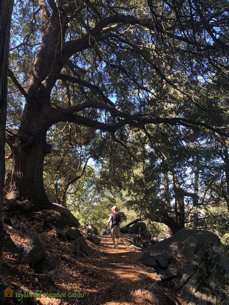 20 Best Hiking Trails In and Around Idyllwild - Idyllwild Vacation Cabins