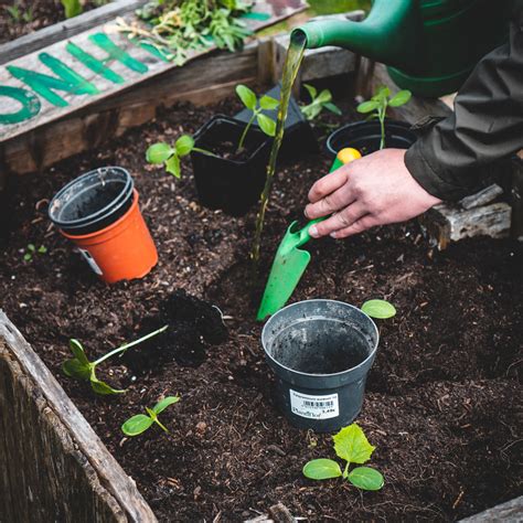 50 Easy Spring Gardening Activities for Kids