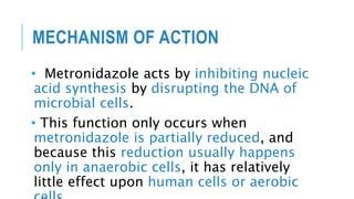 Metronidazole Mechanism Of Action