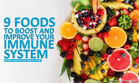 9 Foods to Boost and Improve Your Immune System | The Physiotherapy and ...