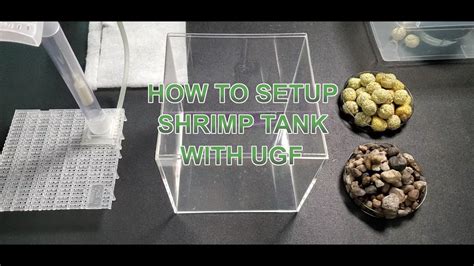 How to setup a shrimp tank with Undergravel Filter Box - YouTube