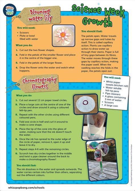 ks2 science week growth – Whizz Pop Bang Blog