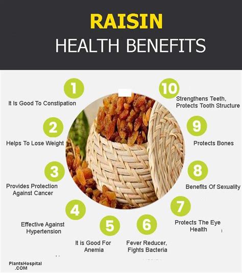 11 Incredible Health Benefits Of Raisins (Thompson Seedless)