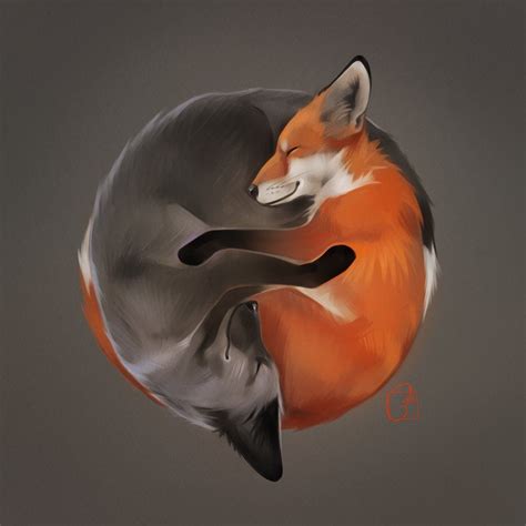 foxes by https://gaudibuendia.deviantart.com on @DeviantArt | Fox, Fox ...