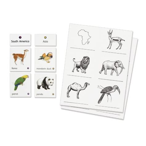 Animals of Seven Continents - Montessori Services